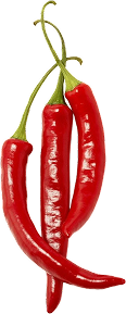 Chilies bunch
